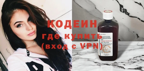 сатива Новодвинск