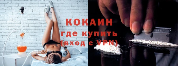 сатива Новодвинск
