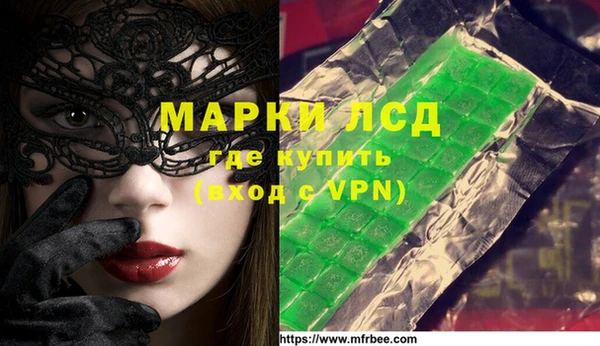 сатива Новодвинск