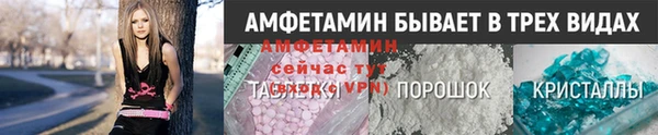 сатива Новодвинск