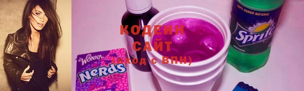 сатива Новодвинск