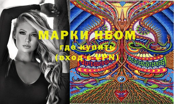сатива Новодвинск
