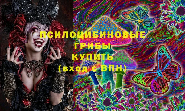 сатива Новодвинск