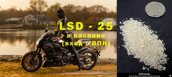 ешки Новозыбков