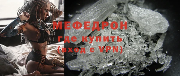 сатива Новодвинск