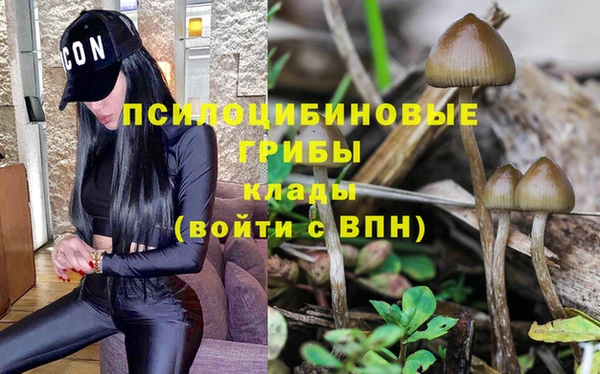 ешки Новозыбков