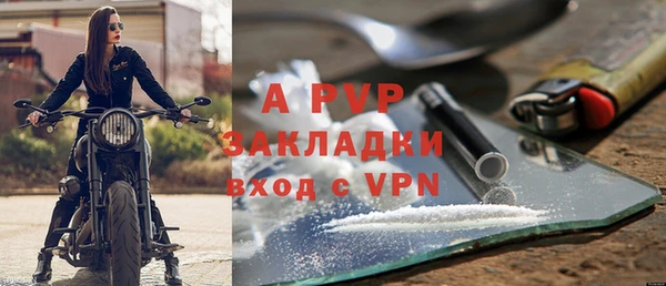 сатива Новодвинск