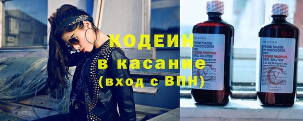 сатива Новодвинск