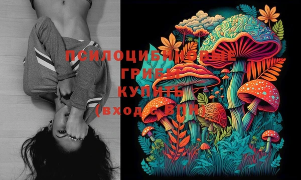 ешки Новозыбков