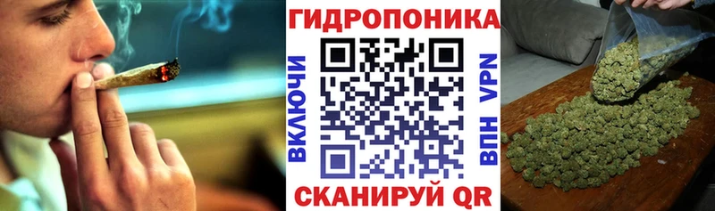 мориарти телеграм  МЕГА ссылки  Северо-Курильск  Канабис марихуана 
